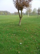 CIMG0905 I * Besser k�nnte er nicht liegen * 2304 x 3072 * (2.15MB)